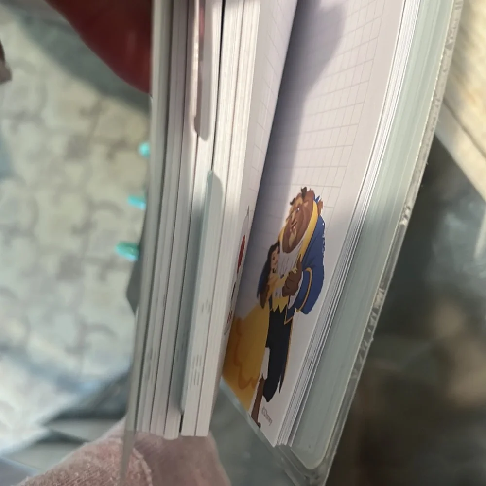 Disney Princess Trust In the Magic Journal.